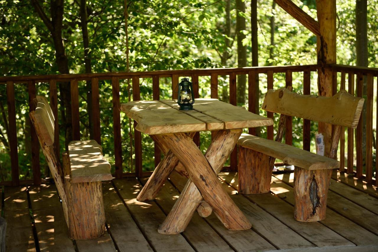 Campsite Wilcza Wola 1